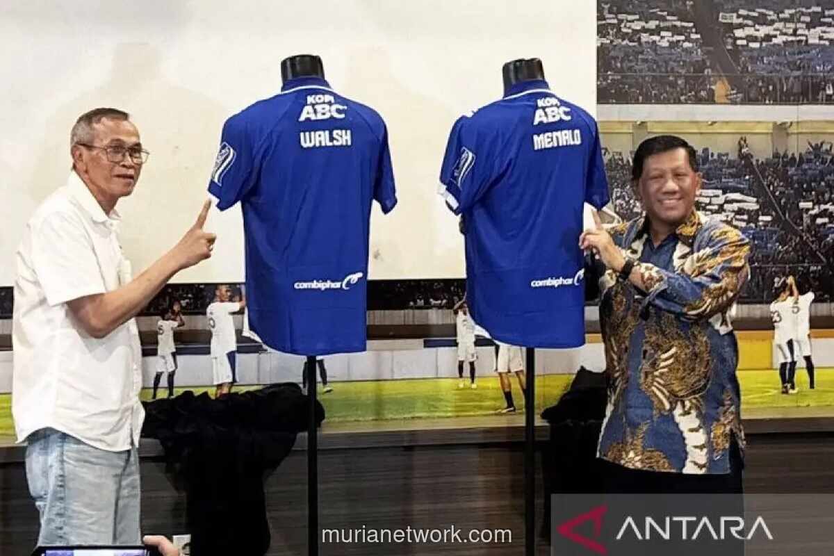 Persib Bandung Resmi Rekrut Sandy Walsh dan Luka Menalo