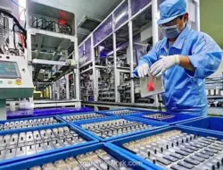 Perusahaan Australia Siap Investasi Rp6,2 Triliun untuk Lengkapi Rantai Pasok Baterai RI