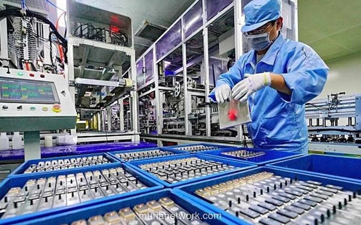 Perusahaan Australia Siap Investasi Rp6,2 Triliun untuk Lengkapi Rantai Pasok Baterai RI