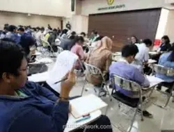 Peserta Magang Nasional Bakal Kantongi Sertifikasi Kompetensi dari BNSP