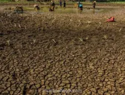 Kekeringan di Gunungkidul, Warga Jual Ternak hingga Kuras Tabungan demi Air Bersih