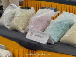 Pilot Malaysia Kurir Ekstasi Terima Bayaran Rp 220 Juta