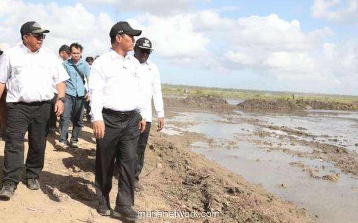 Mentan Amran Tegaskan Program Cetak Sawah di Papua Sepenuhnya untuk Rakyat