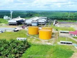 Pinago Utama Resmi Berganti Nama Menjadi AEP Pinago Plantations