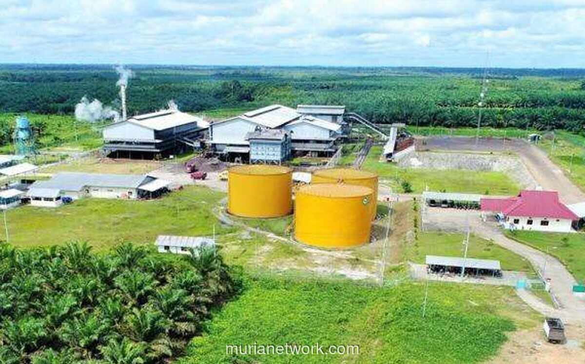 Pinago Utama Resmi Berganti Nama Menjadi AEP Pinago Plantations