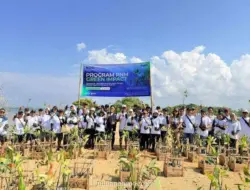 PNM Tanam 22.000 Mangrove Serentak di 18 Titik Pesisir Peringati Hari Mangrove Sedunia