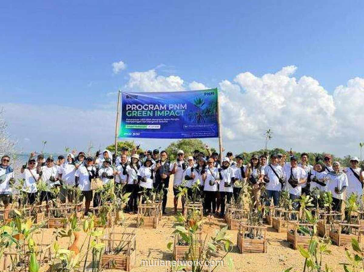 PNM Tanam 22.000 Mangrove Serentak di 18 Titik Pesisir Peringati Hari Mangrove Sedunia