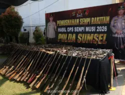 Polda Sumsel Musnahkan 397 Senpi Rakitan Ilegal Hasil Operasi 16 Hari