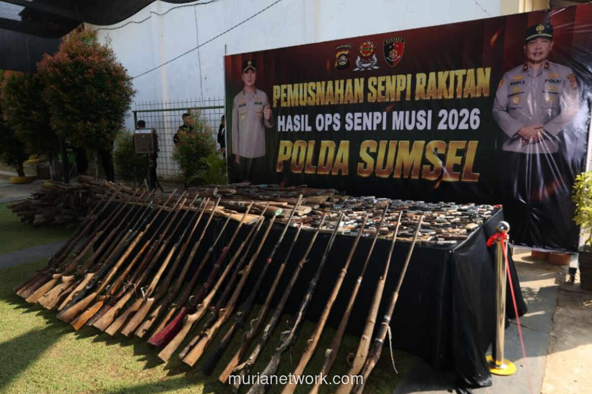 Polda Sumsel Musnahkan 397 Senpi Rakitan Ilegal Hasil Operasi 16 Hari