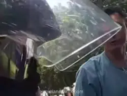 Polisi Kantongi Identitas Pemotor Ninja yang Diduga Pukul Pengendara Lain di Jagakarsa