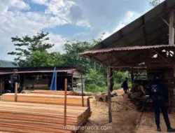 Polri Bongkar Sawmill Ilegal di Kampar, Sita Ratusan Batang Kayu Olahan