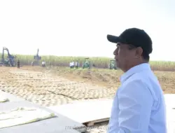 Prabowo Targetkan Swasembada Gula dalam Dua Tahun