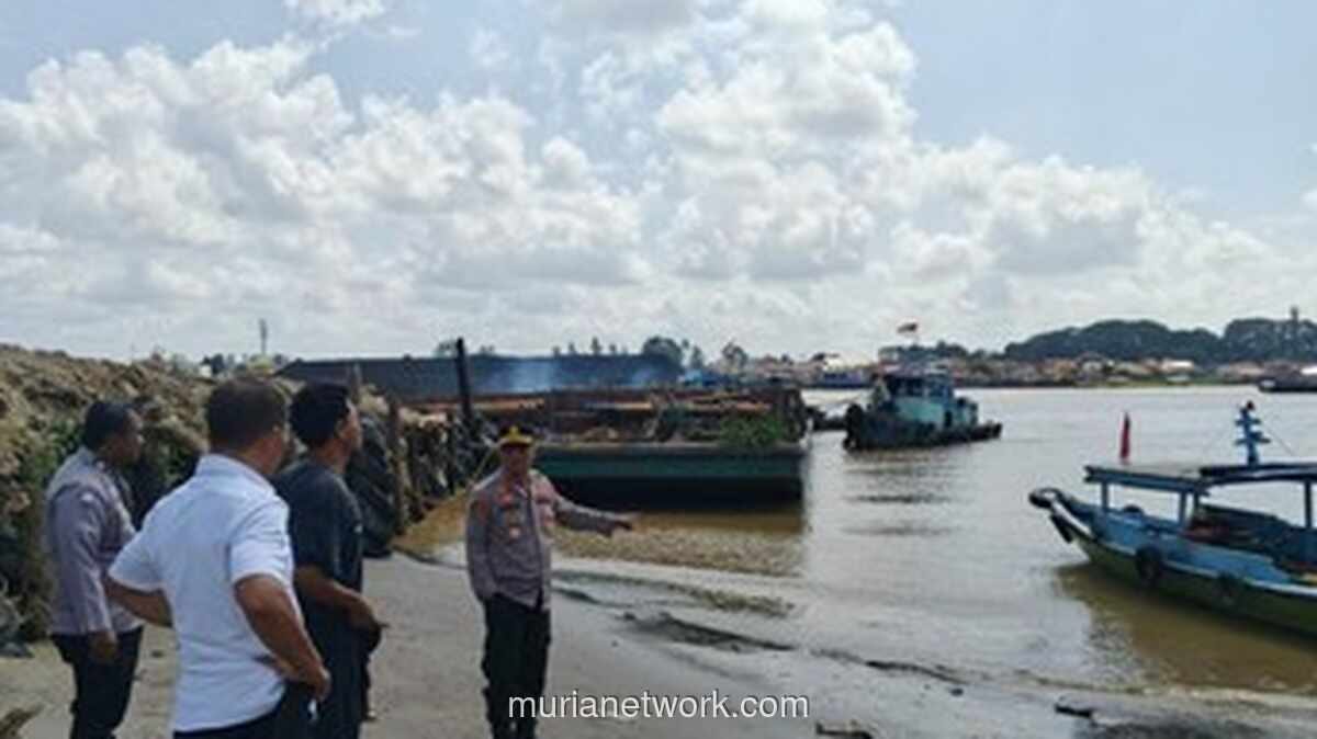 Pria Asal Bandung Diduga Diterkam Buaya saat Perbaiki Perahu di Banyuasin