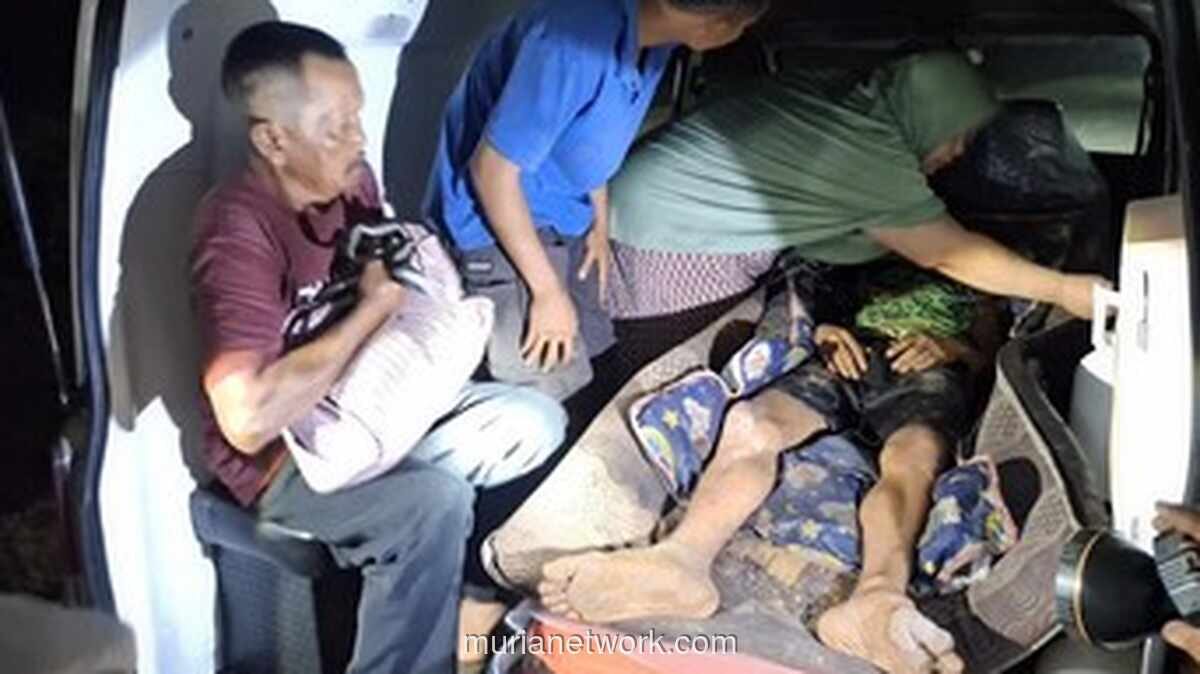 Pekerja di Siak Diterkam Harimau saat Buang Air Besar, Luka-Luka