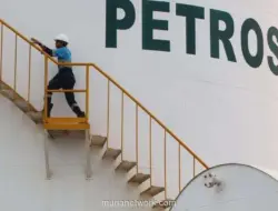 Petrosea Sewa Gardu Listrik Rp222 Miliar untuk Dukung Operasional Tambang