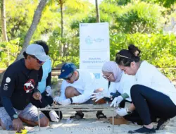 PIS Tanam 100 Fragmen Terumbu Karang di Bali Barat untuk Pulihkan Ekosistem Laut