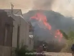 Gunung Anjing di Bandung Terbakar, Petugas Kesulitan Jangkau Titik Api