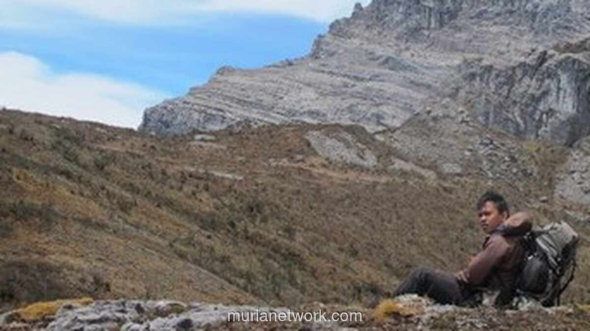 Gletser Puncak Jaya Kritis, Tersisa 2 Persen dari Luas 1988
