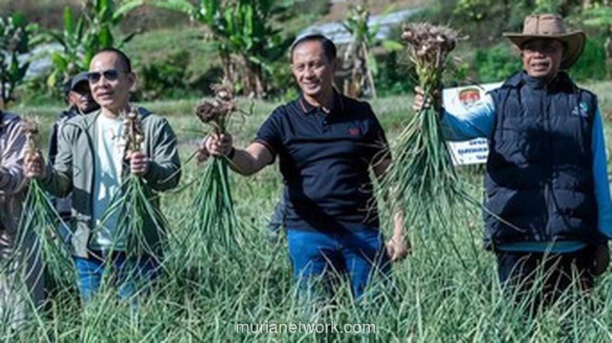 Satgas Pangan Polri Kembangkan Bawang Putih di Lombok Timur, Target Swasembada
