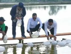 Pemulihan Ekonomi Pascabencana di Aceh: Tambak Kembali Produktif, Ribuan Hektare Ditargetkan Beroperasi