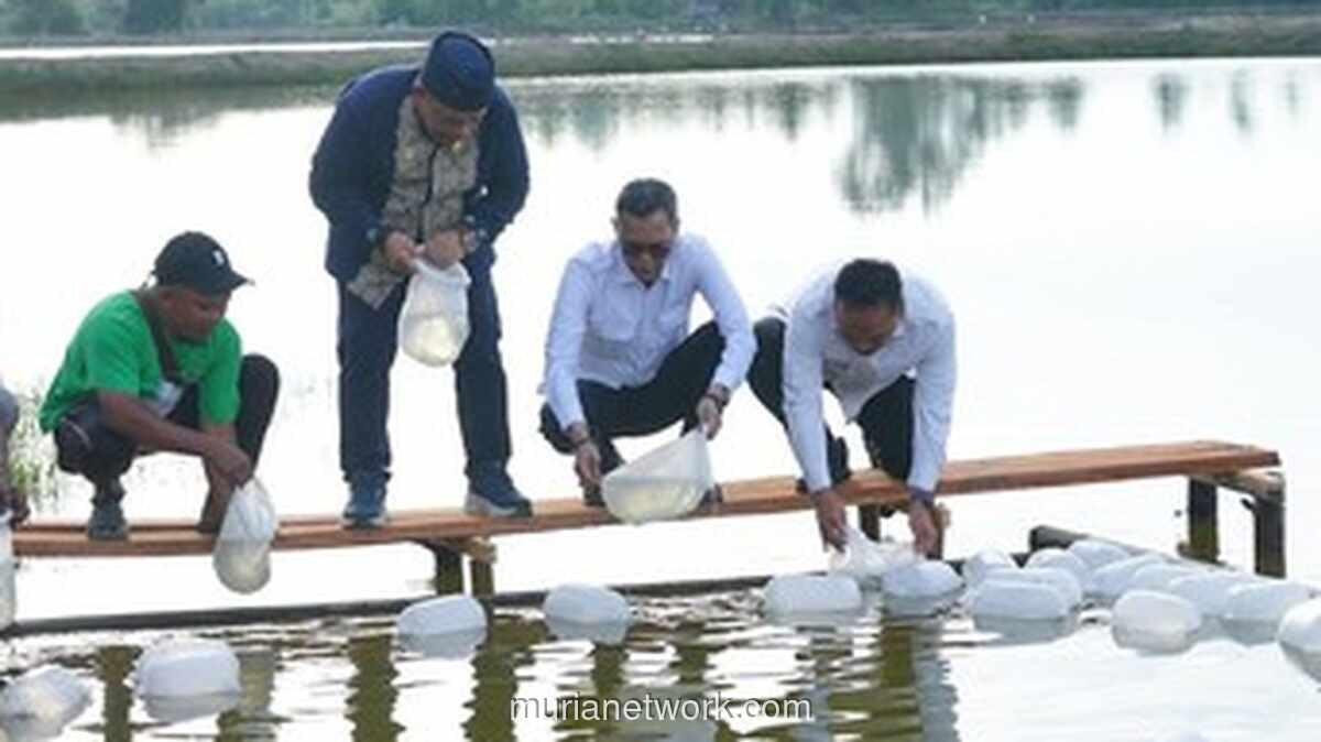 Pemulihan Ekonomi Pascabencana di Aceh: Tambak Kembali Produktif, Ribuan Hektare Ditargetkan Beroperasi
