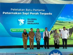 Mentan Amran Resmikan Peternakan Sapi Perah Terbesar di Indonesia di Brebes