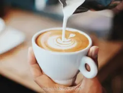 Jejak Kopi di Nusantara: Dari Tanam Paksa hingga Gaya Hidup Modern