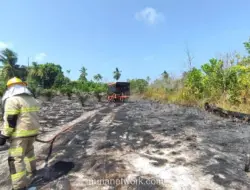 Karhutla di Jawa Hanguskan 11,4 Hektare Lahan, BNPB Catat Tujuh Kejadian