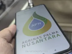 Agrinas Palma Nusantara Diversifikasi ke Kedelai, Singkong, dan Jagung demi Swasembada Pangan dan Energi