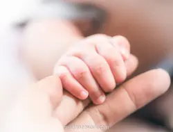 Bayi Baru Lahir Ditemukan di Toilet Kereta Api Sancaka