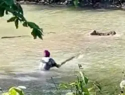 Situ Habibie Sukabumi Kini Sarang Buaya, Warga Waswas