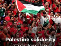 Solidaritas Palestina Mewarnai Piala Dunia 2026, Mesir Kibarkan Bendera di Stadion