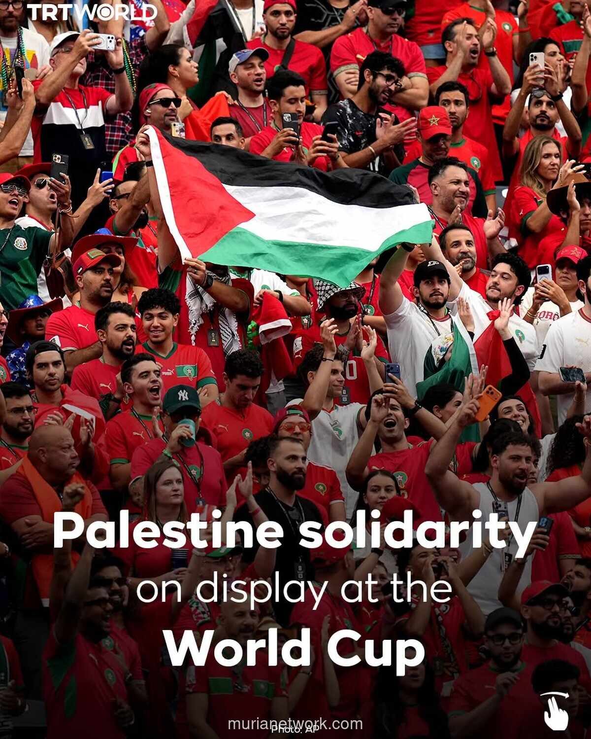 Solidaritas Palestina Mewarnai Piala Dunia 2026, Mesir Kibarkan Bendera di Stadion