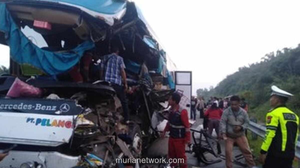 Bus Pelangi Tabrak Truk di Tol Pekanbaru-Dumai, Dua Tewas dan Sopir Kabur