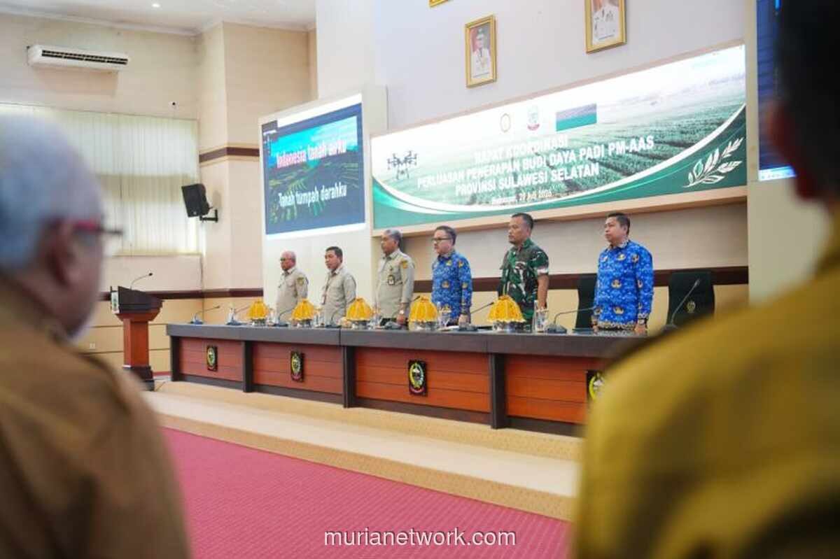 Pemprov Sulsel dan Kementan Percepat Program Pertanian Modern di 91.340 Hektare