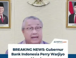 Kedalaman Pasar Valas yang Dangkal dan Efektivitas Kebijakan BI