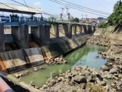 Debit Sungai Ciliwung Menyusut, Dasar Sungai di Bendung Katulampa Terlihat