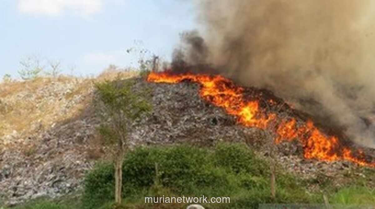 Kebakaran Landa TPA Pakusari Jember, Diduga Akibat Puntung Rokok