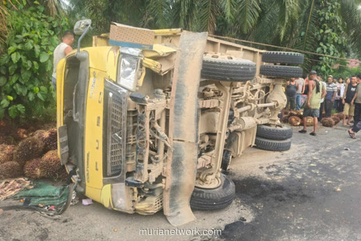 Truk Bermuatan Sawit Terguling Timpa Tiga Pelajar SMP di Labuhanbatu, Satu Tewas
