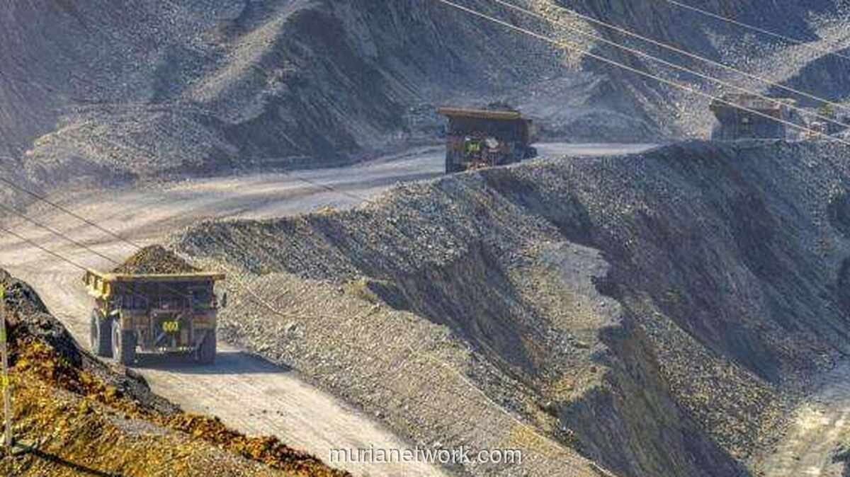 Amman Mineral Tahan 105,8 Juta Saham Treasuri untuk Program ESOP dan MSOP