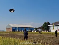 Unik, Lomba Drag Layang-Layang di Tulungagung Adu Cepat Turunkan Layangan