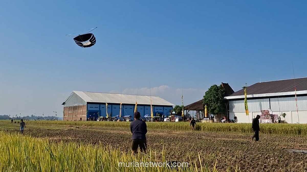 Unik, Lomba Drag Layang-Layang di Tulungagung Adu Cepat Turunkan Layangan