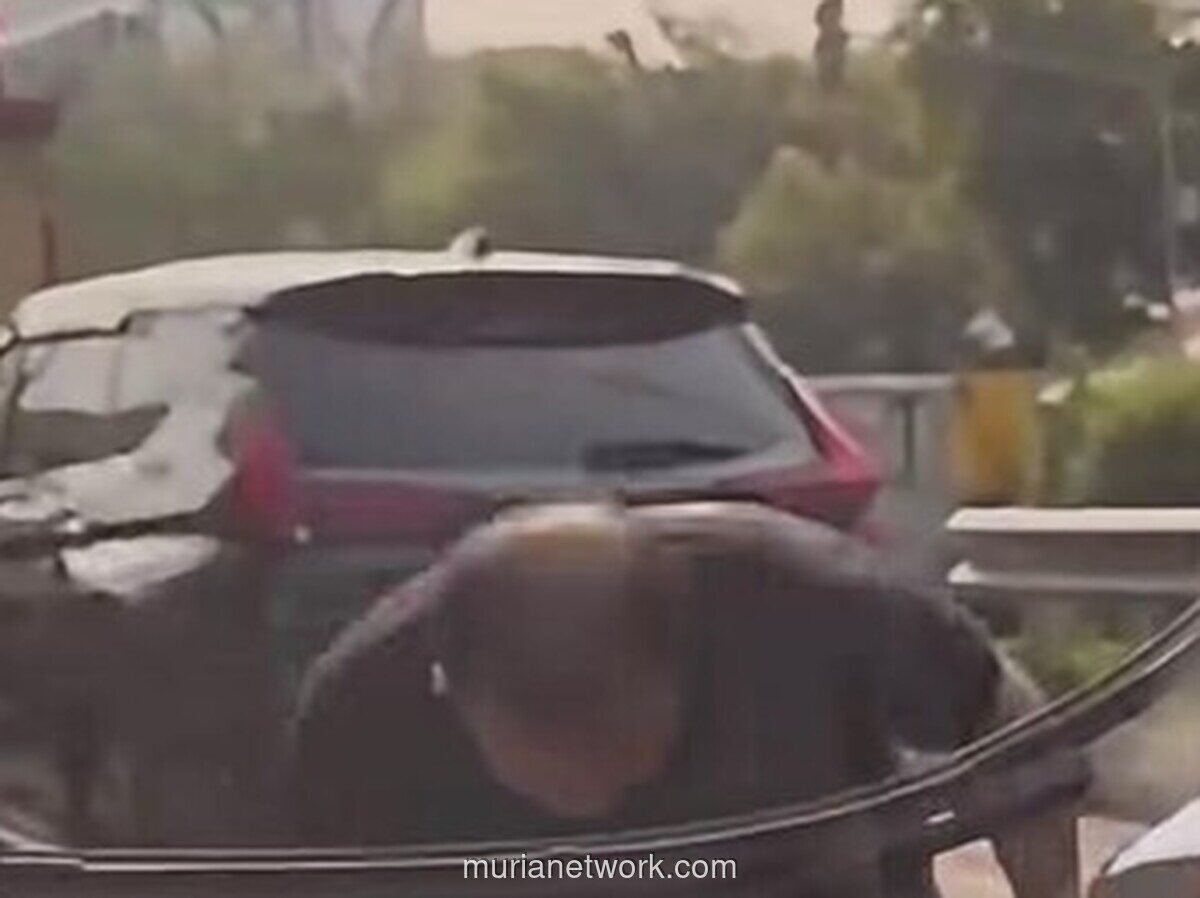 Viral Pria Rusak Mobil di Sunter, Polisi Imbau Korban Lapor