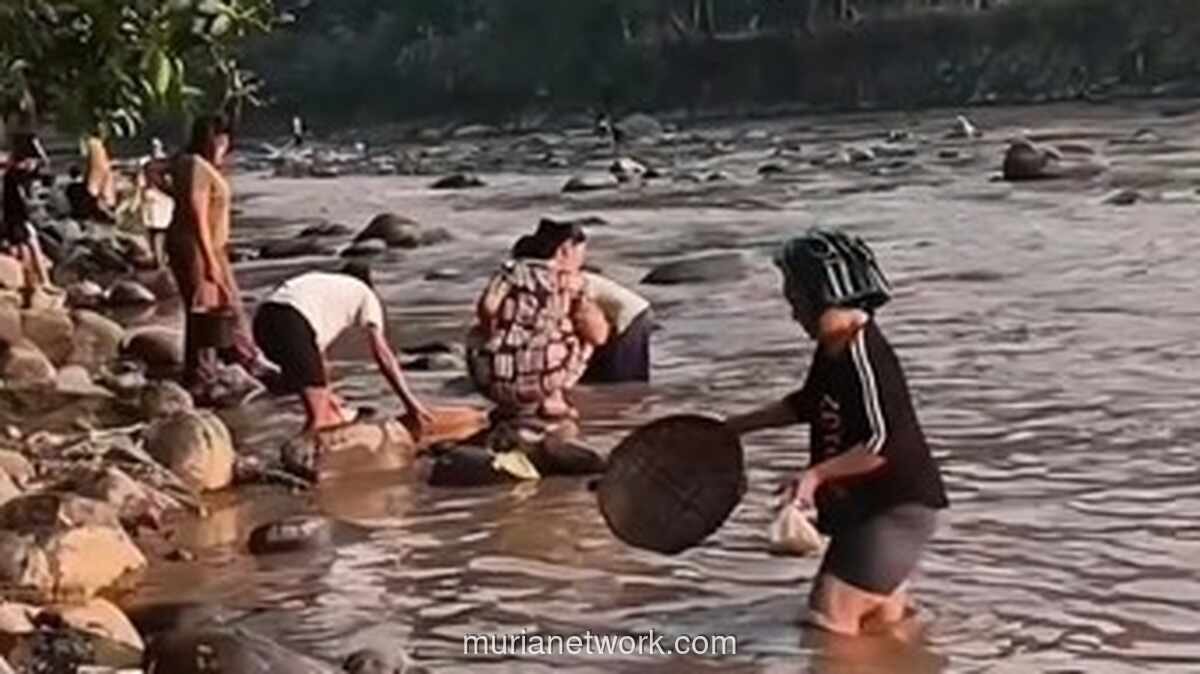 Video Sungai Cikaniki Tercemar Limbah Viral, Polisi dan DLH akan Cek Lokasi