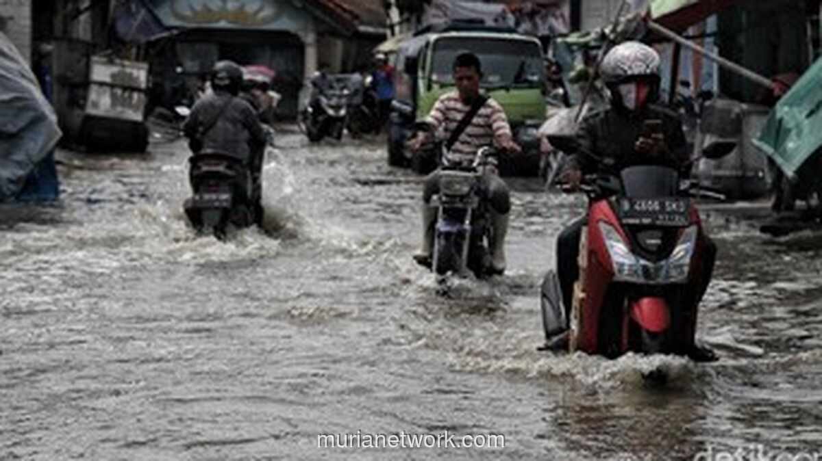 BPBD Peringatkan Potensi Banjir Pesisir di Jakarta pada 9-16 Juli 2026