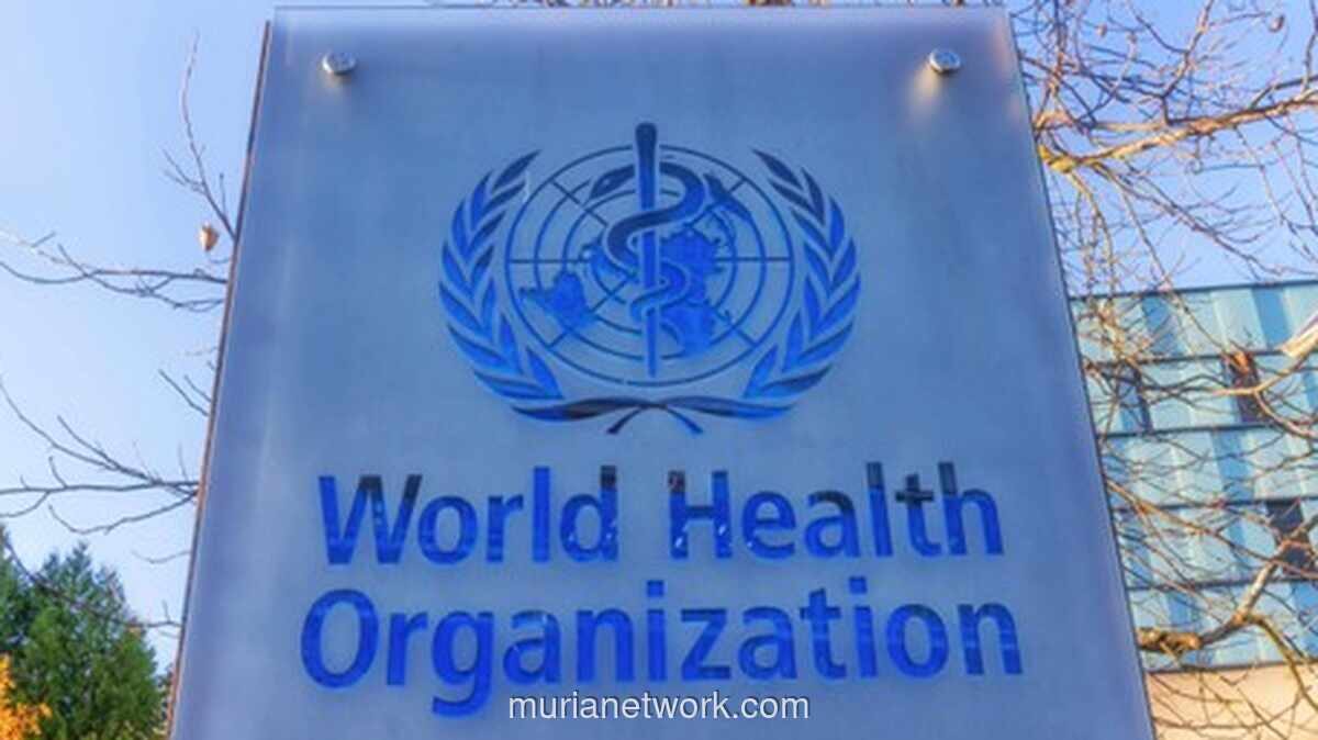 WHO Nyatakan Wabah Hantavirus Berakhir, Tidak Ada Kasus Baru Sejak 25 Mei