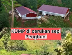 Koperasi Merah Putih Dibangun Jauh dari Pemukiman, Warga: Program Ajaib dengan Keyakinan Gagal