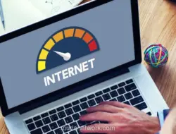 YLKI Desak Komdigi, Operator, dan KPPU Segera Tindaklanjuti Putusan MK soal Kuota Internet Hangus