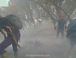 Kebakaran Kawah Wadon Gunung Gede Pangrango Meluas, 10 Hektare Terdampak