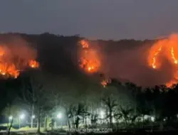 Kebakaran Lahan di Perbukitan Bantul dan Gunungkidul Hanguskan 10 Hektare